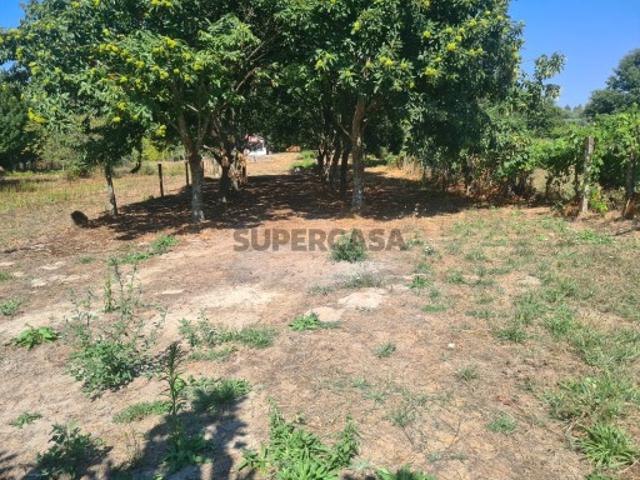 Terreno venda em Queirã, Viseu
