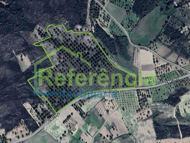 Terreno venda em Vilartão, Argeriz