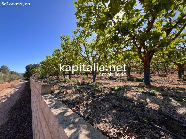 Local Comercial en venta en la Ribera Alta, Valencia