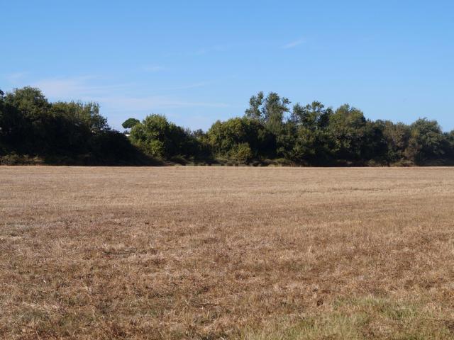 Terreno venda em Santiago Do Cacém, Setúbal