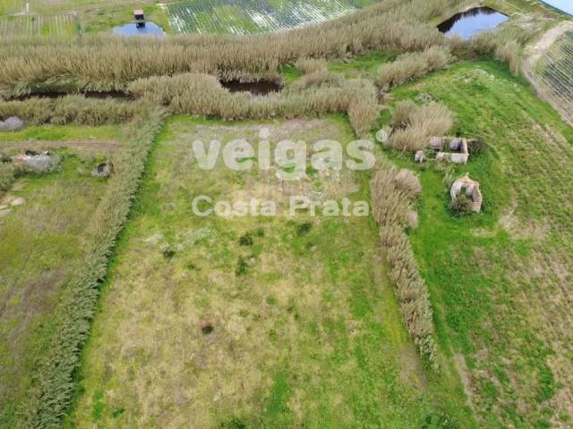 Terreno venda em Atouguia da Baleia, Peniche