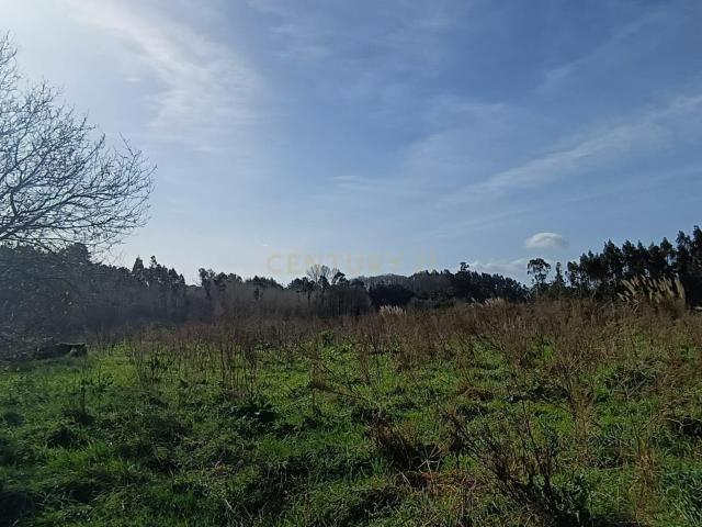 Terreno venda em Oliveira Do Bairro, Aveiro