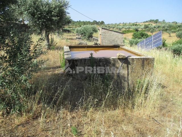 Terreno venda em Castelo Branco