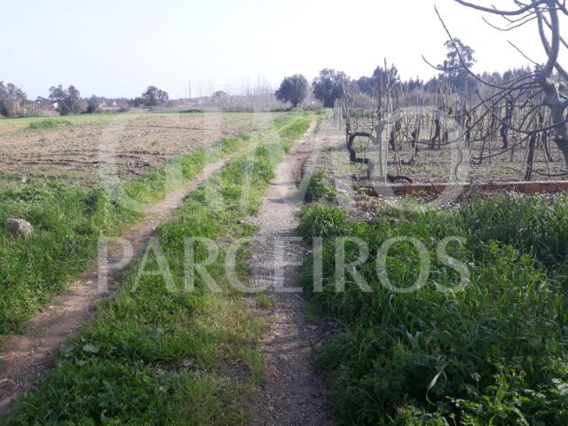 Terreno venda em Oliveira Do Bairro, Aveiro