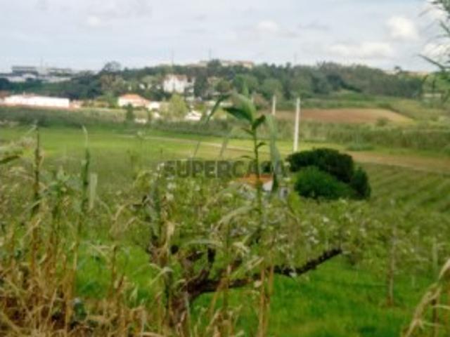 Terreno venda em Lourinhã, Lisboa