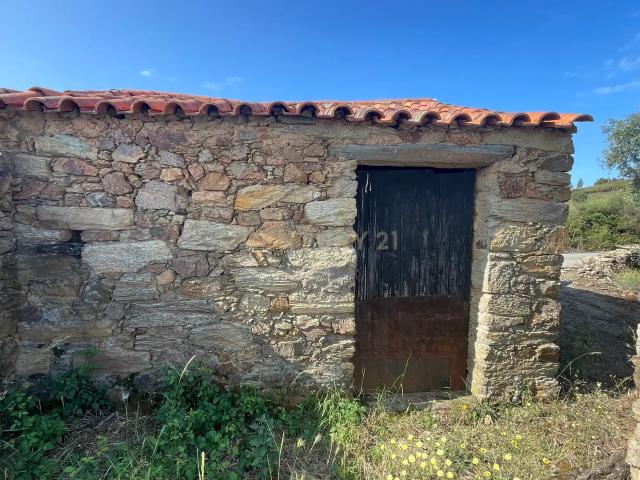 Terreno venda em Castelo Branco