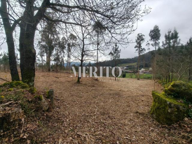 Terreno venda em Cossourado, Arcozelo