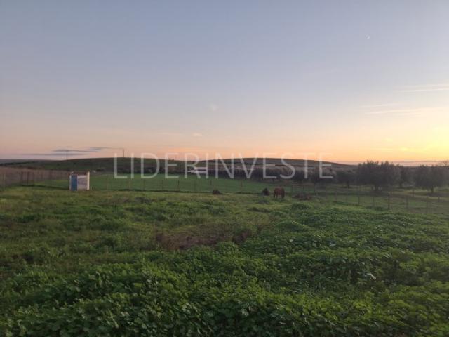 Terreno venda em Beja