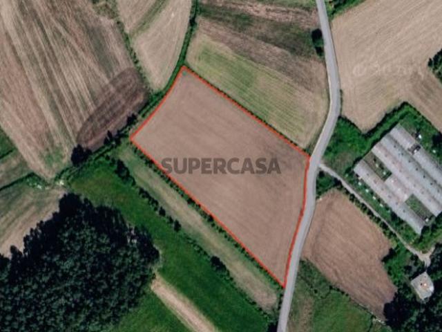 Terreno venda em Sequeade e Bastuço (São João e Santo Estêvão), Arcozelo