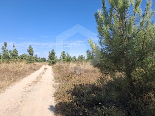 Terreno venda em Palmela, Setúbal