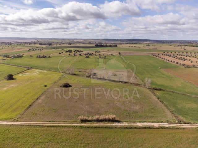 Terreno venda em Évora