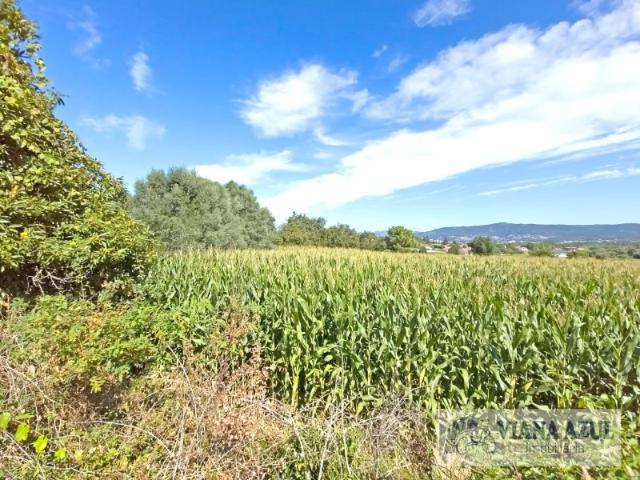 Terreno venda em Moreno, Viana Do Castelo