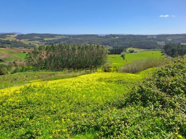 Terreno venda em Lourinhã, Lisboa