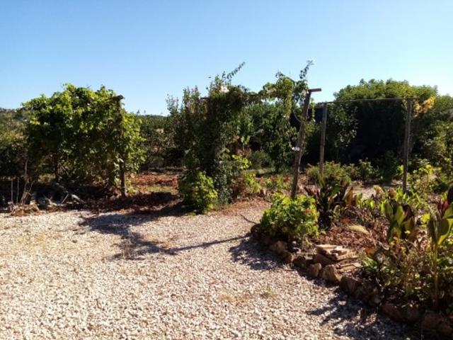 Terreno venda em São Bartolomeu De Messines, Faro