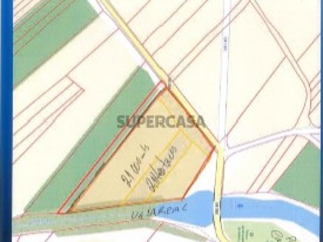 Terreno venda em Alpiarça, Santarém