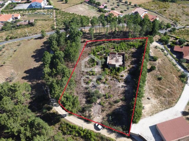 Terreno venda em Vila Real