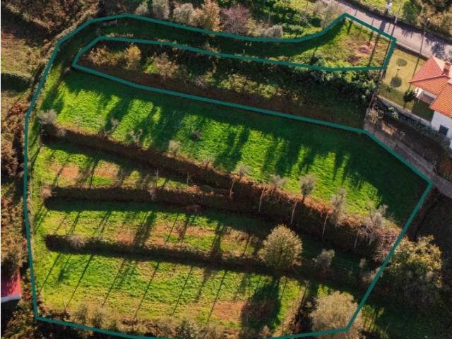 Terreno venda em Póvoa De Lanhoso, Braga