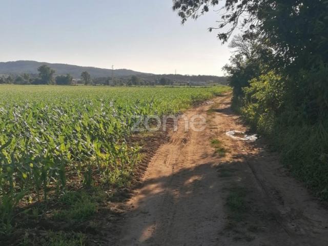 Terreno venda em Fradelos, Gavião