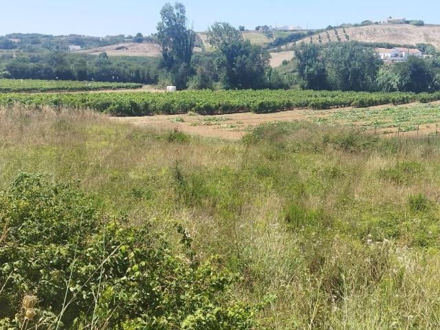 Terreno venda em Santo Isidoro, Mafra