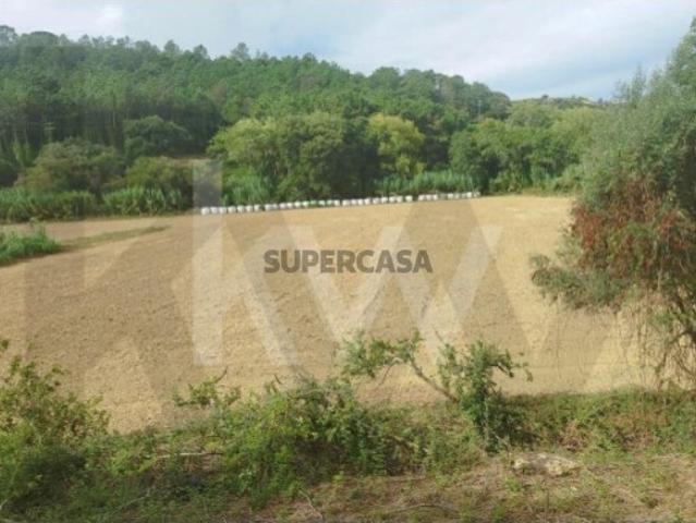 Terreno venda em Santo Isidoro, Mafra