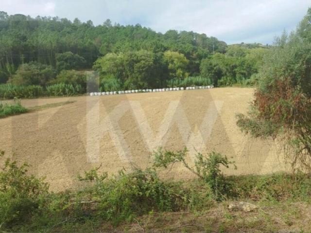 Terreno venda em Santo Isidoro, Mafra