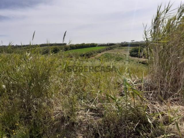 Terreno venda em Lourinhã, Lisboa