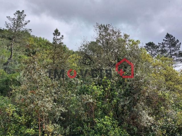 Terreno venda em Ourém, Santarém