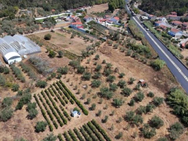 Terreno venda em Condeixa-a-nova, Coimbra
