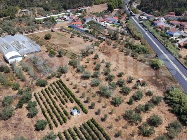 Terreno venda em Condeixa-a-nova, Coimbra