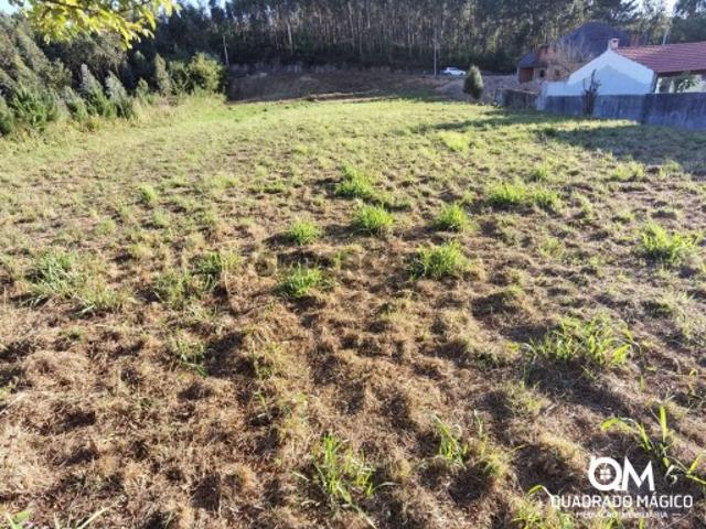 Terreno venda em Santa Maria Da Feira, Aveiro