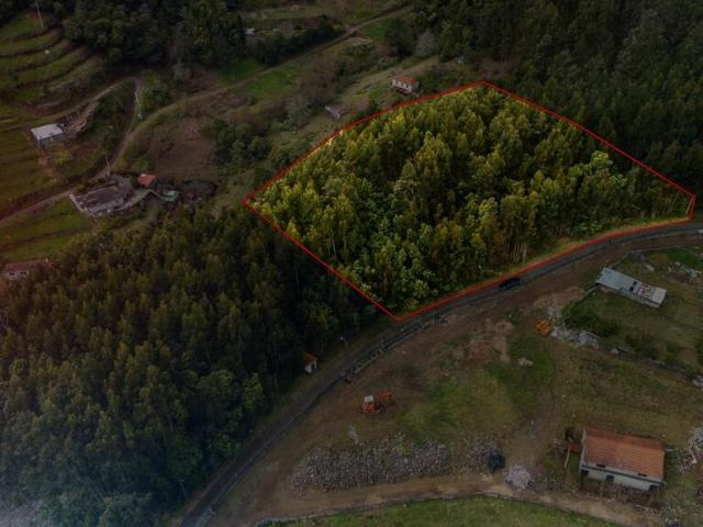 Terreno venda em Achada da Camacha, Santa Cruz