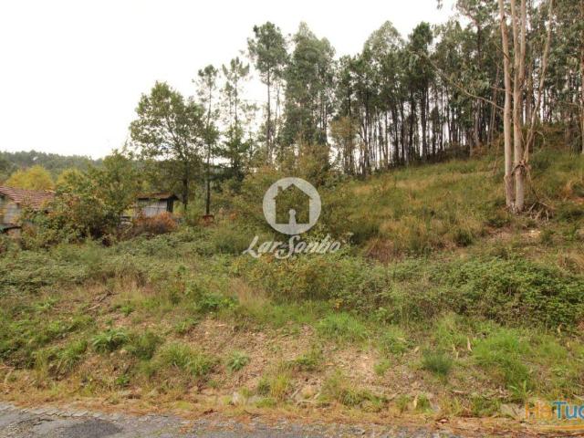 Terreno venda em Celorico De Basto, Braga