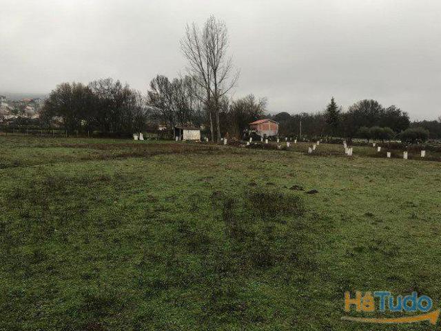 Terreno venda em Argeriz, Vila Real
