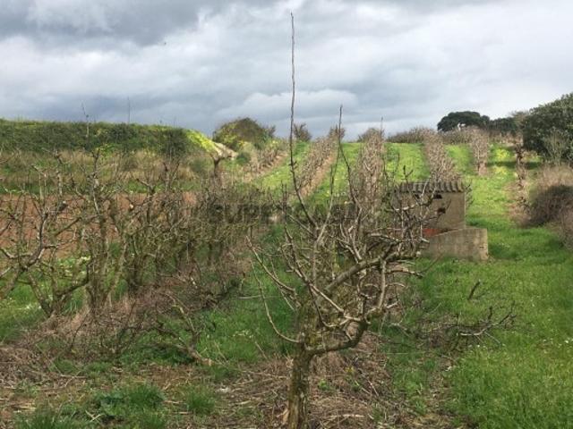 Terreno venda em Mafra, Lisboa
