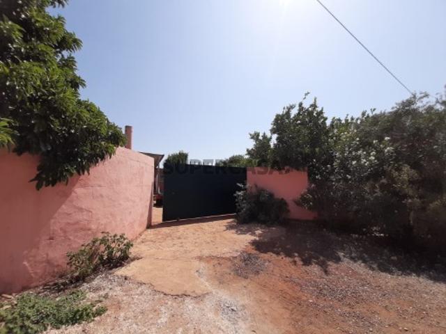 Terreno venda em São Bartolomeu De Messines, Faro