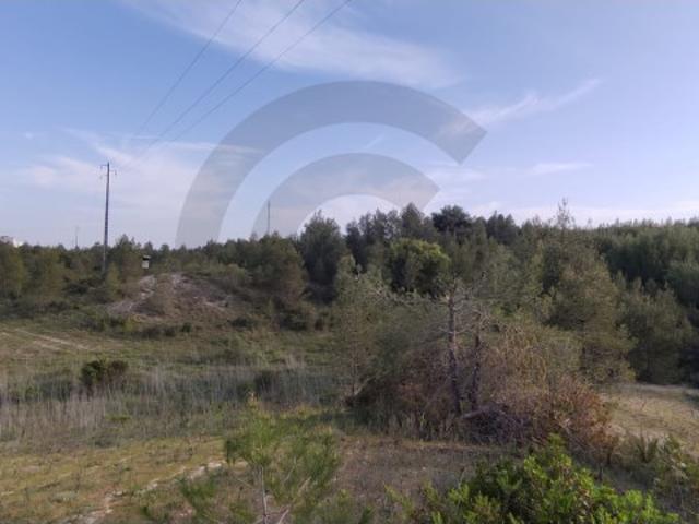 Terreno venda em Olaia e Paço, Torres Novas