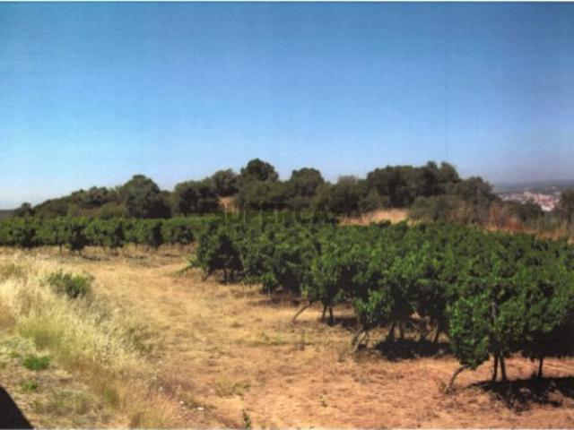 Terreno venda em Torres Vedras, Lisboa