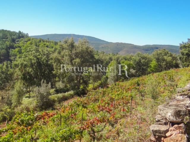 Terreno venda em Marvão, São Salvador Da Aramenha