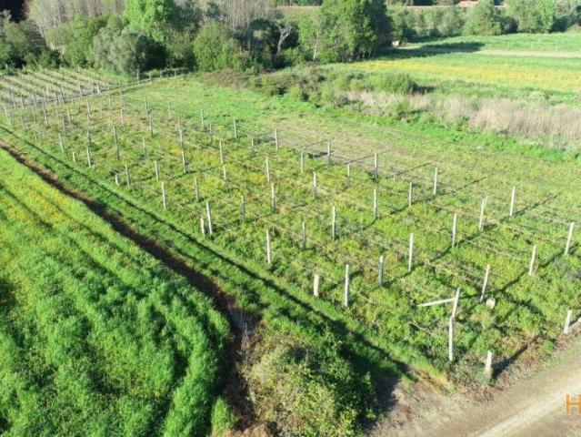 Terreno venda em Arcozelo, Braga