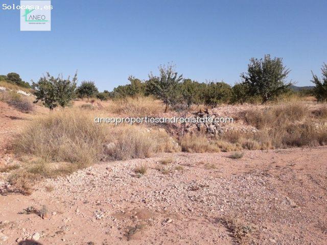 Local Comercial en venta en Casetes de Joan Blanco, el Vinalopó Mitjà / El Vinalopó Medio