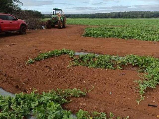 Terreno en venta en Tekax de Álvaro Obregón, Tekax