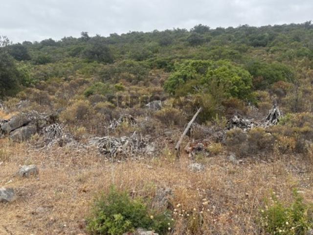 Terreno venda em Loulé, Faro