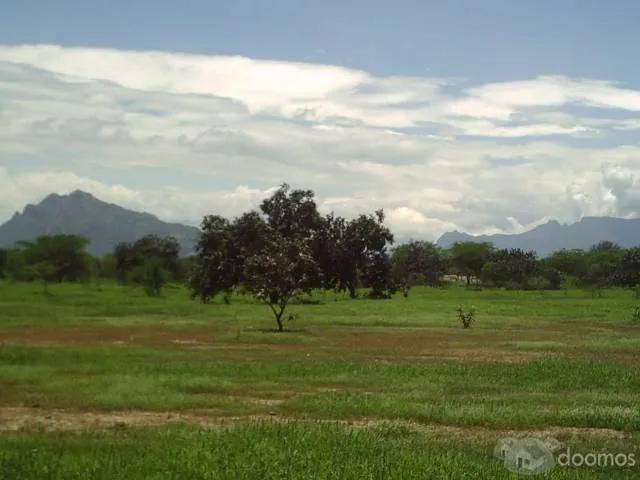Terreno venta en Olmos, Lambayeque