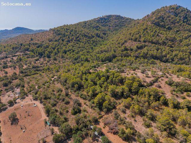 Local Comercial en venta en Llevant, Baleares