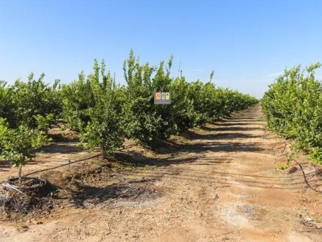 Terreno en venta en la Marina Baixa, Valencia