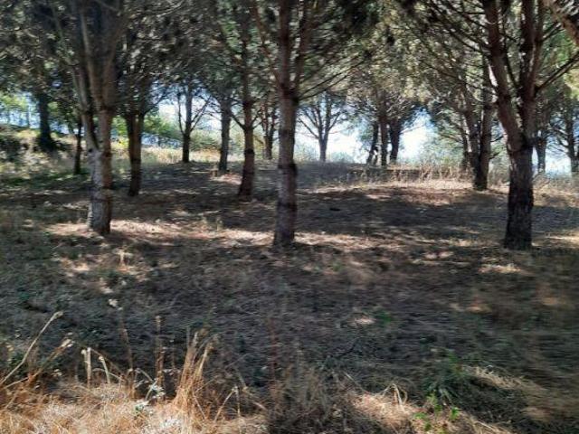 Terreno venda em Porto De Mós, Leiria