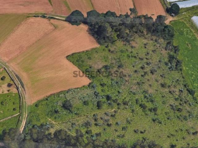 Terreno venda em Oliveira De Azeméis, Aveiro