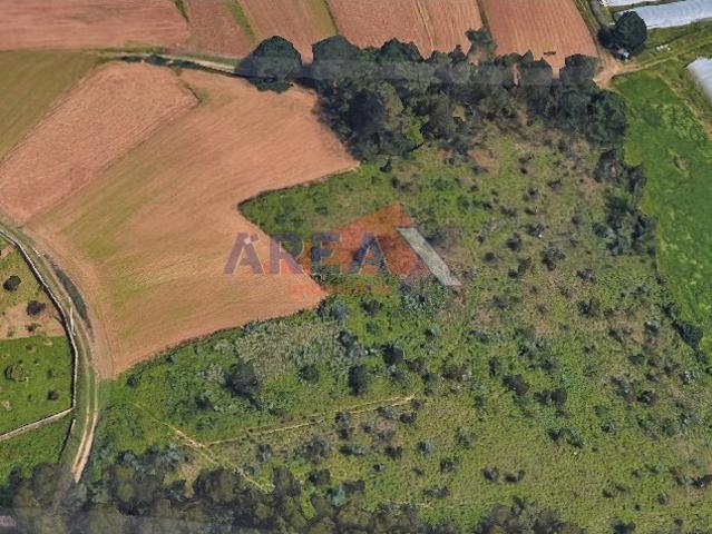 Terreno venda em Oliveira De Azeméis, Aveiro