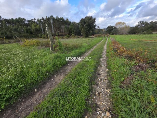 Terreno venda em Aveiro