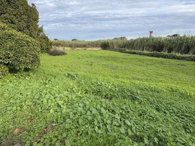 Terreno venda em Afonsoeiro, Montijo